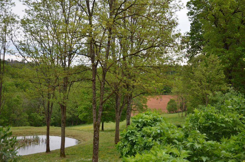 Cénac-et-Saint-Julien拉盖里尼耶尔住宿加早餐旅馆住宿加早餐旅馆 外观 照片
