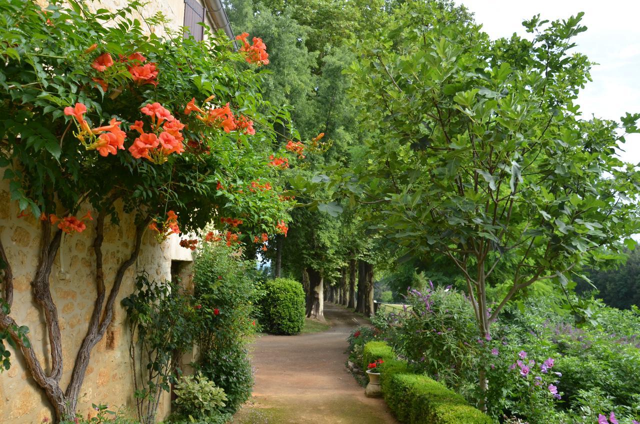 Cénac-et-Saint-Julien拉盖里尼耶尔住宿加早餐旅馆住宿加早餐旅馆 外观 照片